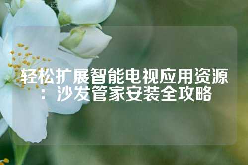 轻松扩展智能电视应用资源：沙发管家安装全攻略
