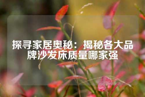 探寻家居奥秘：揭秘各大品牌沙发床质量哪家强