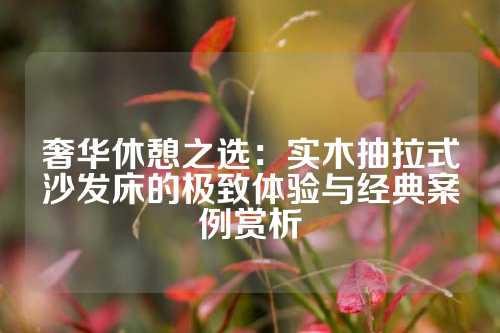 奢华休憩之选：实木抽拉式沙发床的极致体验与经典案例赏析