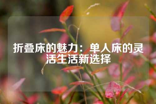 折叠床的魅力：单人床的灵活生活新选择