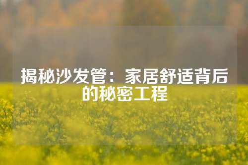 揭秘沙发管：家居舒适背后的秘密工程