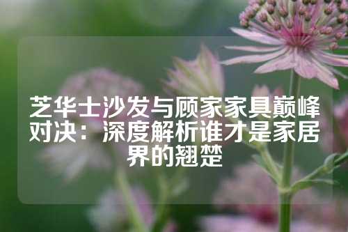 芝华士沙发与顾家家具巅峰对决：深度解析谁才是家居界的翘楚