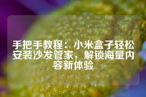 手把手教程：小米盒子轻松安装沙发管家，解锁海量内容新体验
