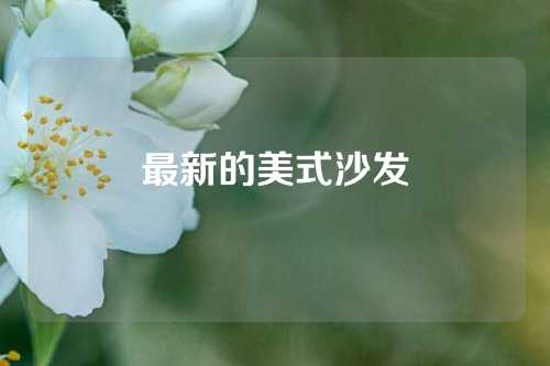 最新的美式沙发