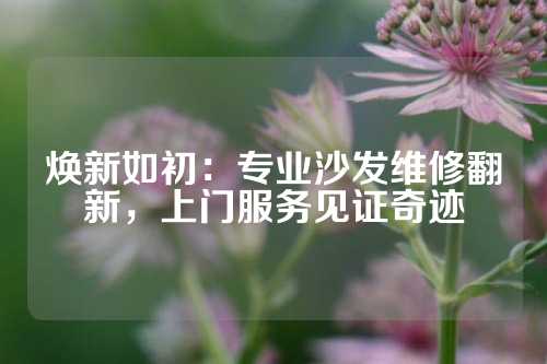 焕新如初：专业沙发维修翻新，上门服务见证奇迹