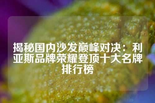 揭秘国内沙发巅峰对决：利亚斯品牌荣耀登顶十大名牌排行榜