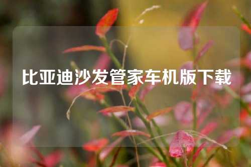 比亚迪沙发管家车机版下载