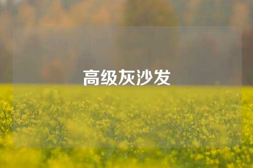 高级灰沙发
