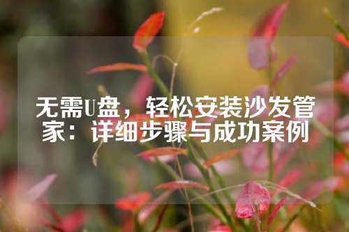 无需U盘，轻松安装沙发管家：详细步骤与成功案例