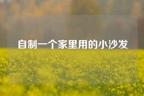 自制一个家里用的小沙发