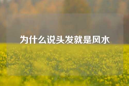 为什么说头发就是风水
