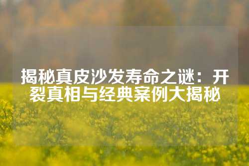 揭秘真皮沙发寿命之谜：开裂真相与经典案例大揭秘