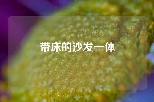 带床的沙发一体
