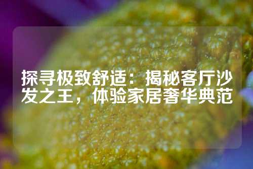 探寻极致舒适：揭秘客厅沙发之王，体验家居奢华典范