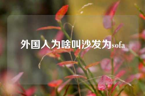 外国人为啥叫沙发为sofa