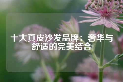 十大真皮沙发品牌:奢华与舒适的完美结合