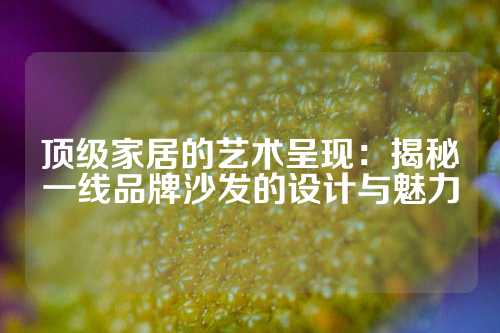 顶级家居的艺术呈现：揭秘一线品牌沙发的设计与魅力