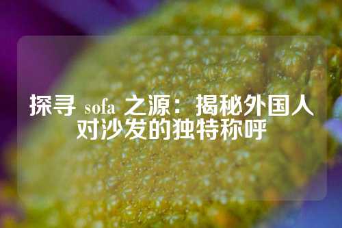 探寻 sofa 之源：揭秘外国人对沙发的独特称呼