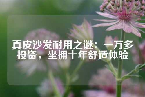 真皮沙发耐用之谜：一万多投资，坐拥十年舒适体验