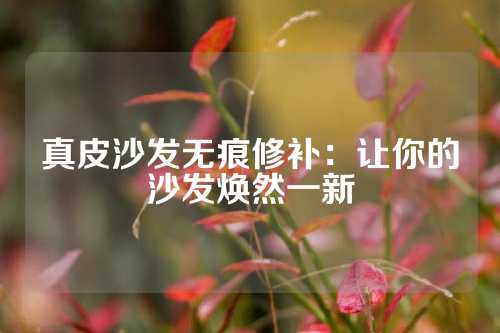 真皮沙发无痕修补：让你的沙发焕然一新