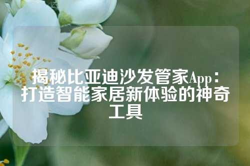 揭秘比亚迪沙发管家App：打造智能家居新体验的神奇工具