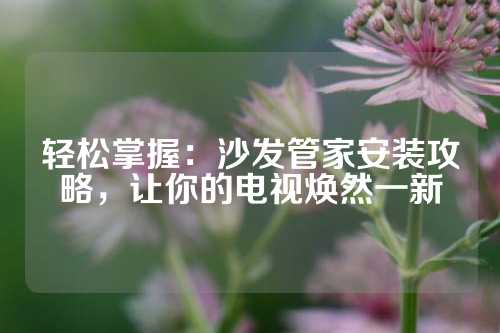 轻松掌握：沙发管家安装攻略，让你的电视焕然一新