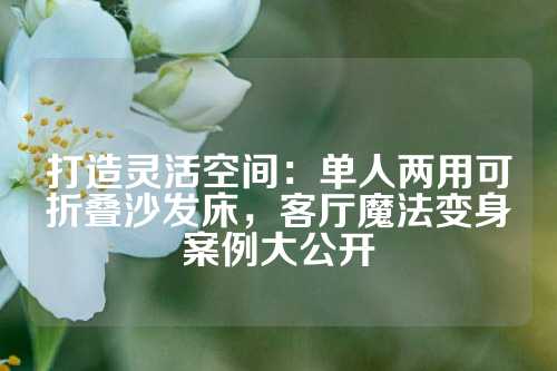 打造灵活空间：单人两用可折叠沙发床，客厅魔法变身案例大公开