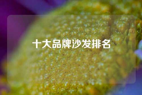 十大品牌沙发排名