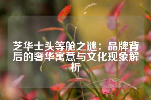 芝华士头等舱之谜：品牌背后的奢华寓意与文化现象解析