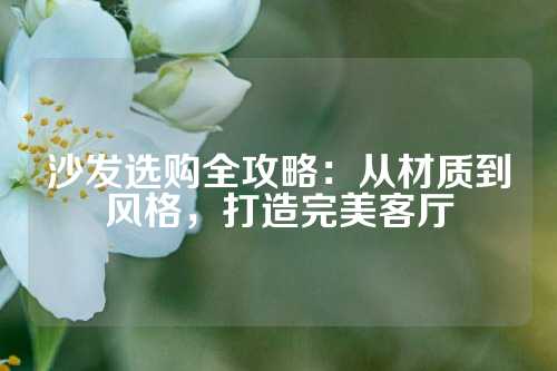 沙发选购全攻略：从材质到风格，打造完美客厅