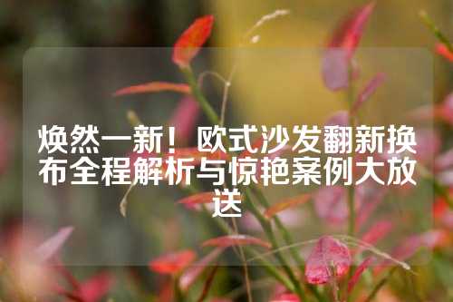 焕然一新！欧式沙发翻新换布全程解析与惊艳案例大放送