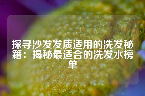 探寻沙发发质适用的洗发秘籍：揭秘最适合的洗发水榜单