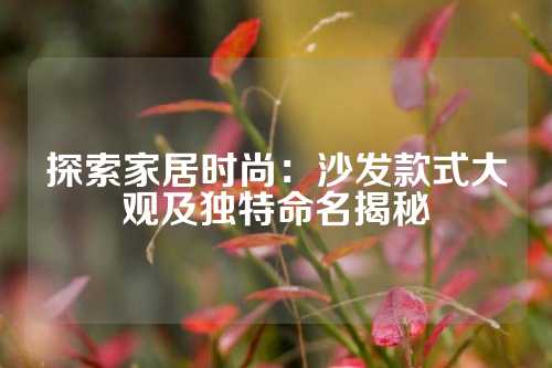 探索家居时尚：沙发款式大观及独特命名揭秘