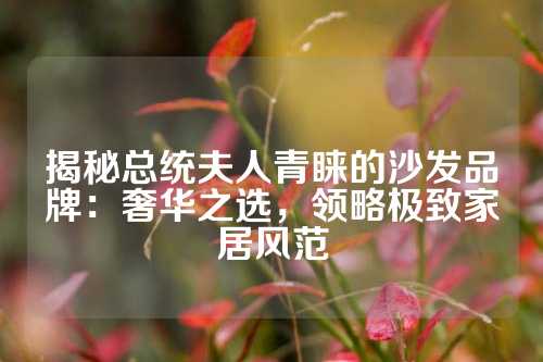 揭秘总统夫人青睐的沙发品牌:奢华之选,领略极致家居风范