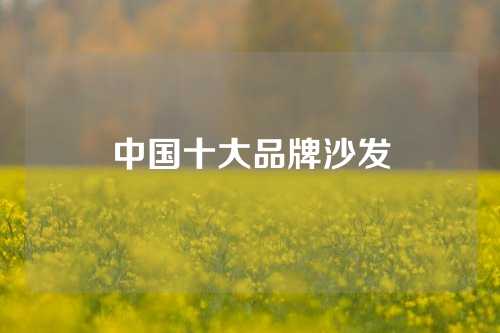 中国十大品牌沙发
