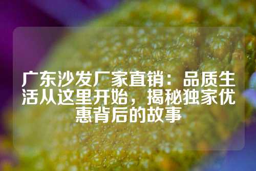 广东沙发厂家直销：品质生活从这里开始，揭秘独家优惠背后的故事