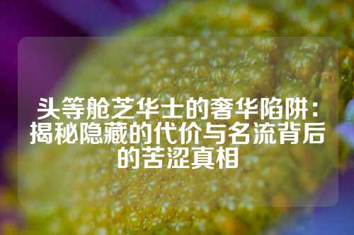 头等舱芝华士的奢华陷阱：揭秘隐藏的代价与名流背后的苦涩真相