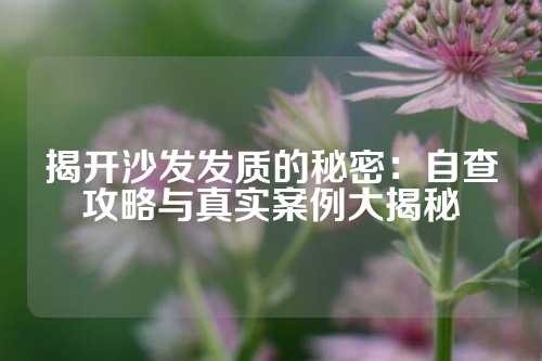 揭开沙发发质的秘密：自查攻略与真实案例大揭秘
