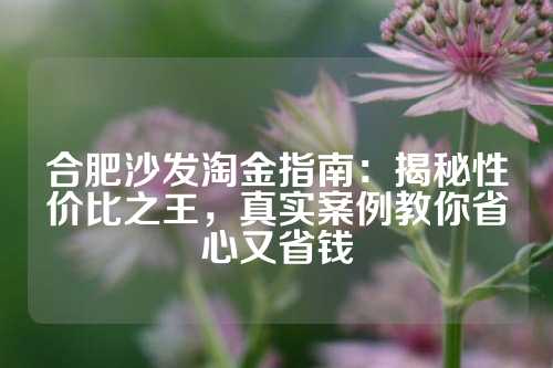 合肥沙发淘金指南：揭秘性价比之王，真实案例教你省心又省钱