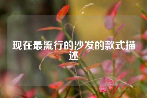 现在最流行的沙发的款式描述