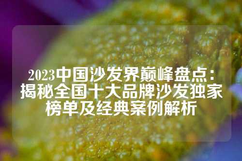 2023中国沙发界巅峰盘点:揭秘全国十大品牌沙发独家榜单及经典案例解析