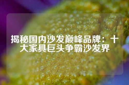 揭秘国内沙发巅峰品牌：十大家具巨头争霸沙发界
