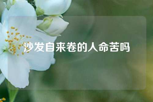 沙发自来卷的人命苦吗