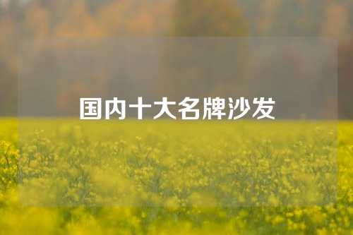 国内十大名牌沙发