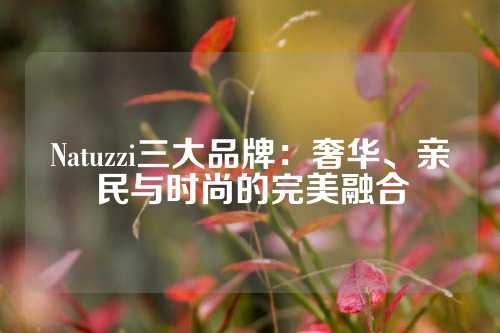 Natuzzi三大品牌：奢华、亲民与时尚的完美融合