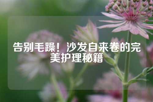 告别毛躁！沙发自来卷的完美护理秘籍