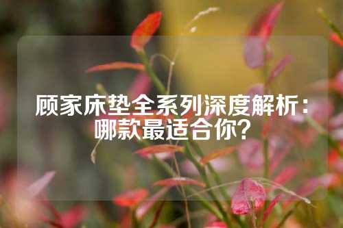 顾家床垫全系列深度解析：哪款最适合你？