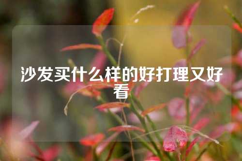 沙发买什么样的好打理又好看
