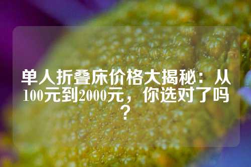 单人折叠床价格大揭秘：从100元到2000元，你选对了吗？