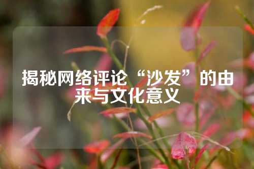 揭秘网络评论“沙发”的由来与文化意义